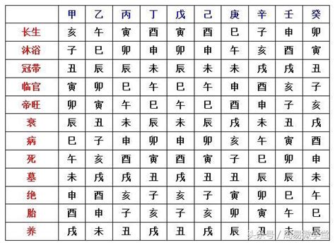 八字長生表|八字十二長生解讀——長生